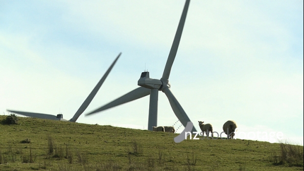 Sheep and Wind Turbines 3099